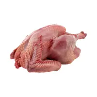 Home 6 Skinless chicken (broiler)