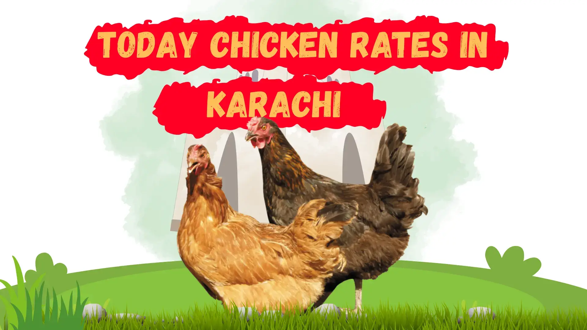 Chicken rate today in Karachi - updated prices 1 Chicken rate today in Karachi - updated