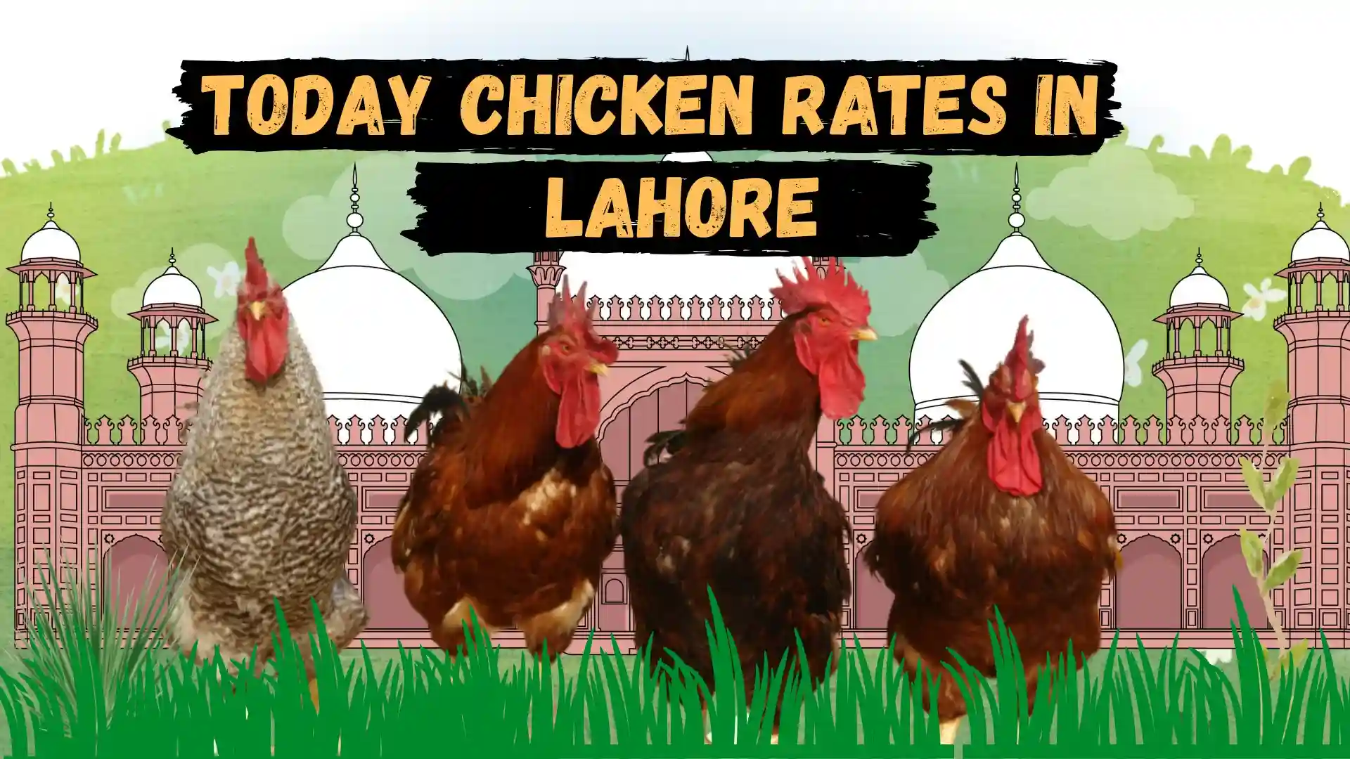 Chicken Rate Today in Lahore - Updated list 1 Chicken Rate Today in Lahore - Updated list