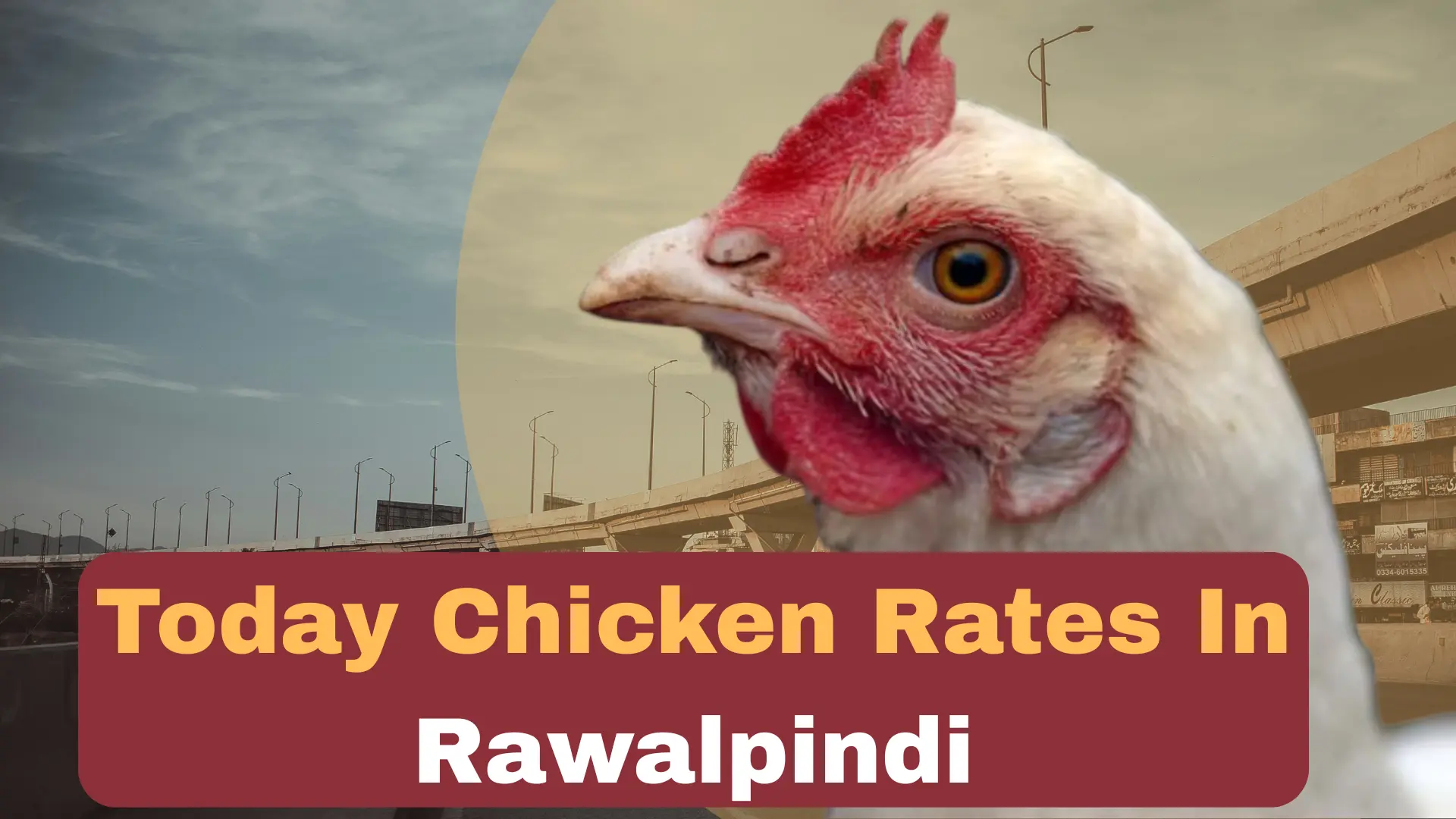 Today Chicken Rate In Rawalpindi 1 Chicken rate today in Rawalpindi - updated