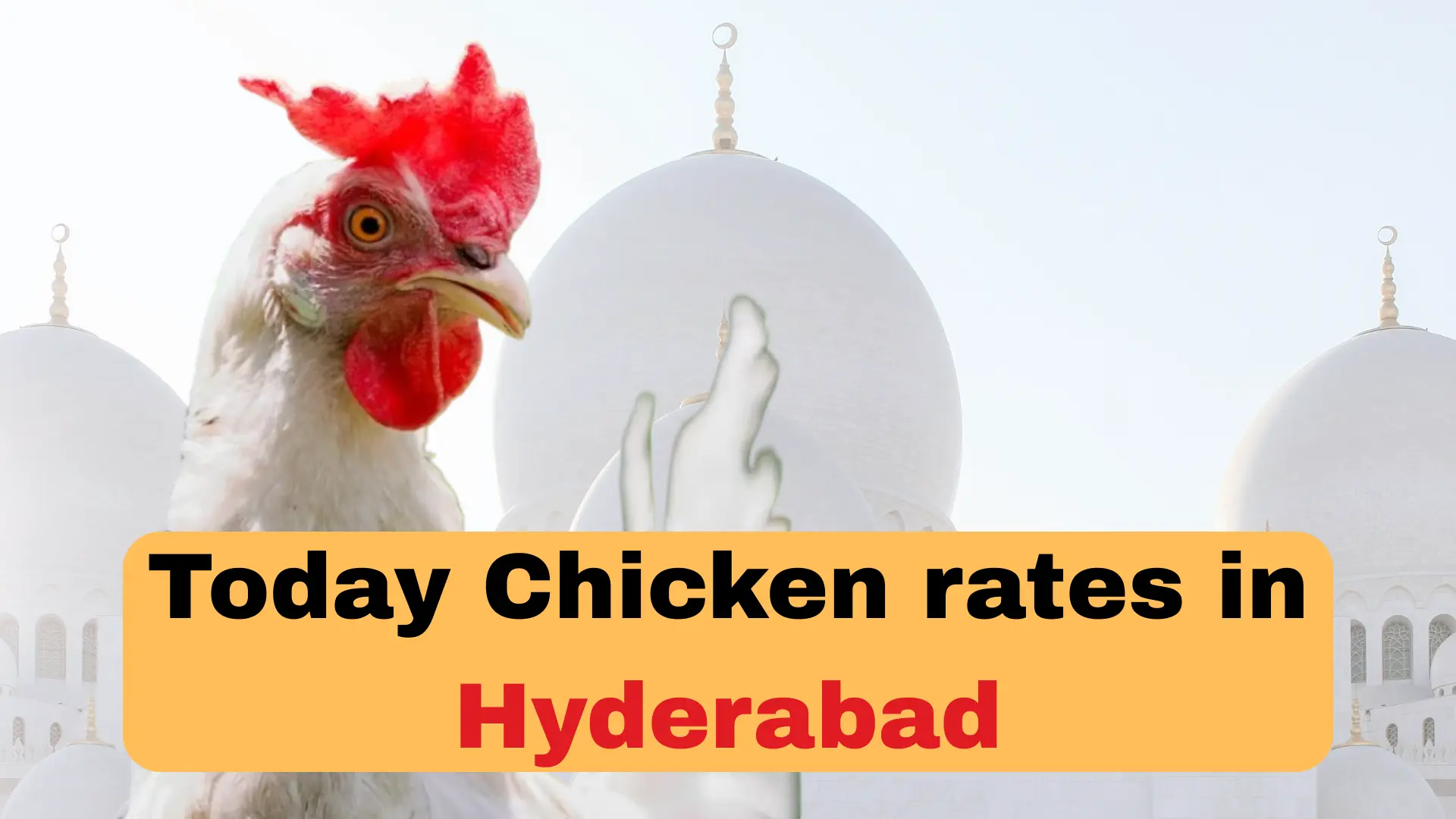 Today Chicken Rate in Hyderabad, Sindh 1 Today Chicken rates in Hyderabad, pakistan - updated