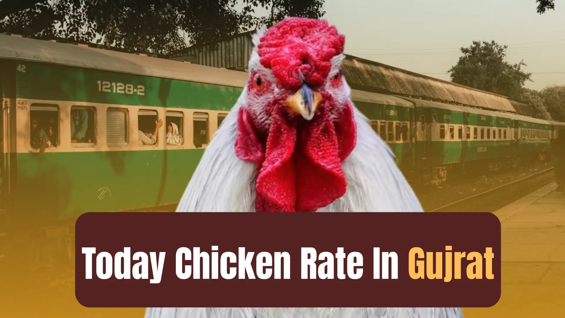 Today Chicken Rate in Gujrat 1 Chicken rate today in Gujrat- updated