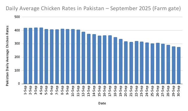 Home 23 Daily Average Chicken Rates in Pakistan – September 2025 detail chart